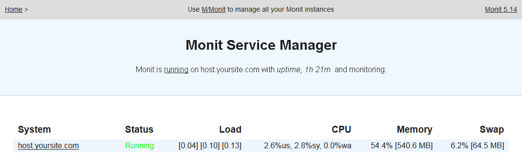 Monit web interface