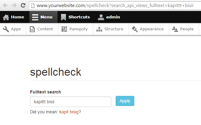 Drupal Search API index views search page