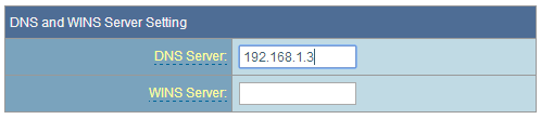 Local DNS setup Option 1 step 3