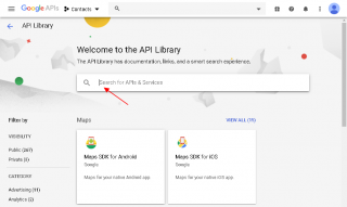Search for APIs and Services field