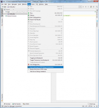 PhpStorm Start Listening PHP debug